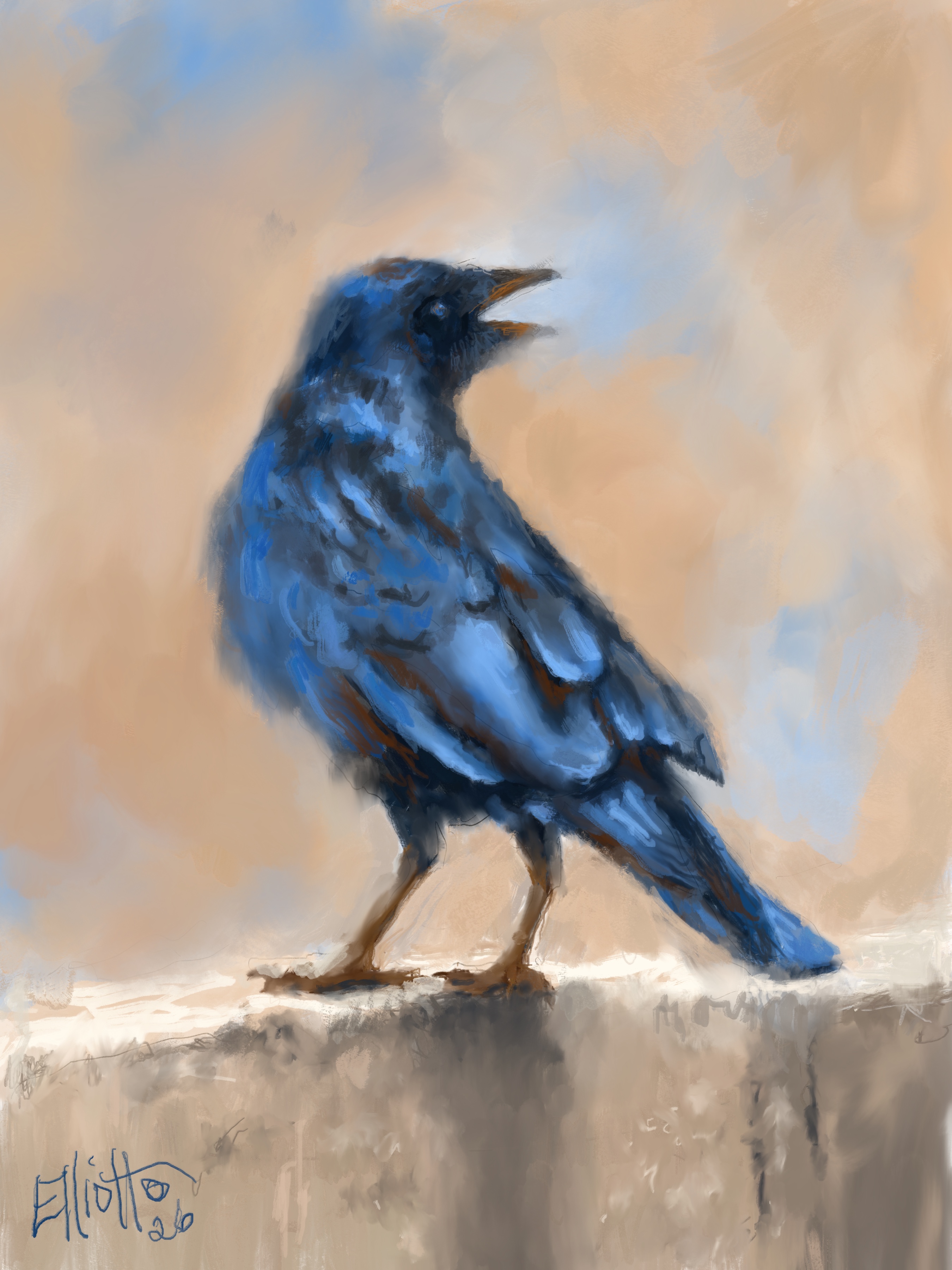 Crow