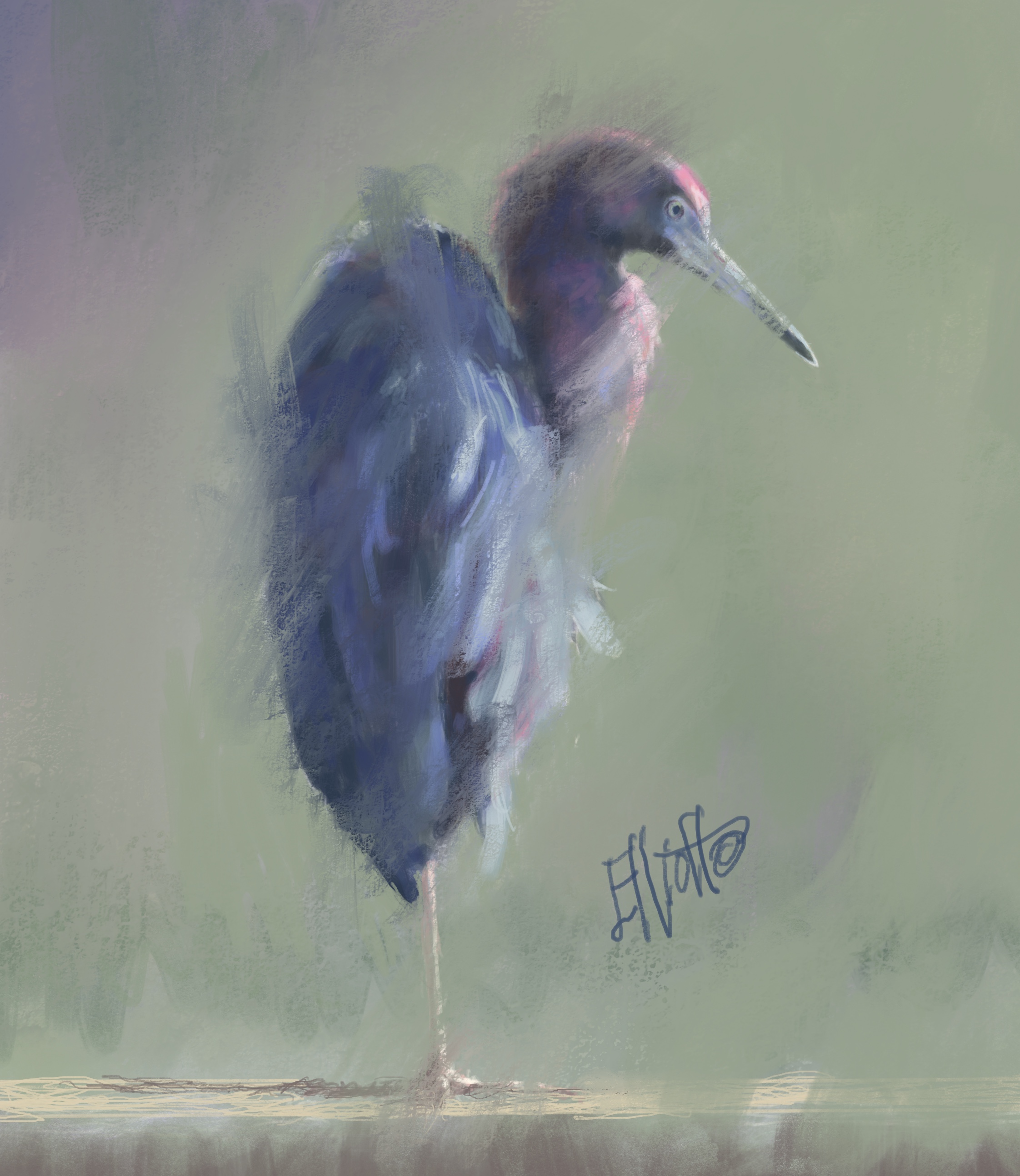 Little Blue
