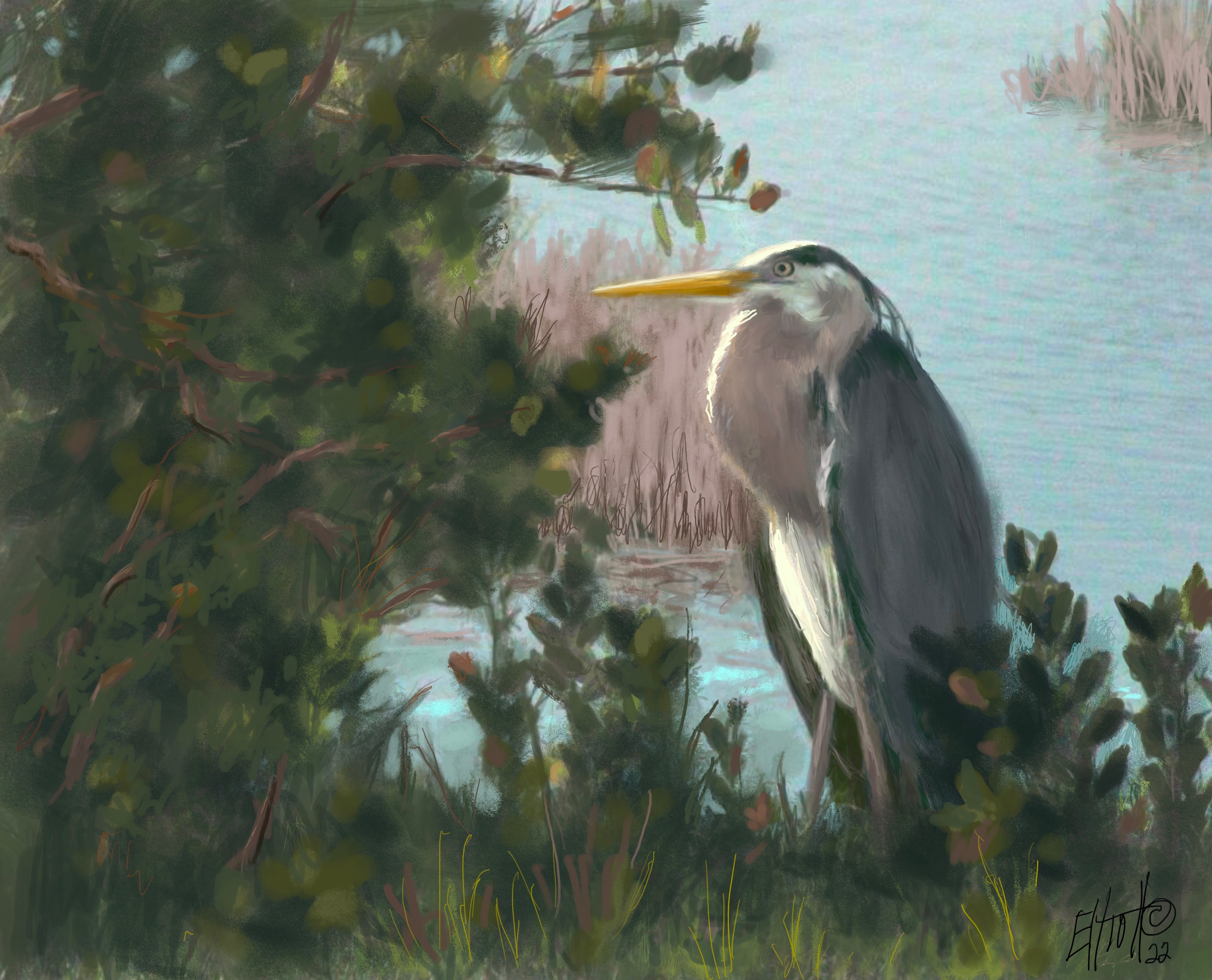 Mating Proud