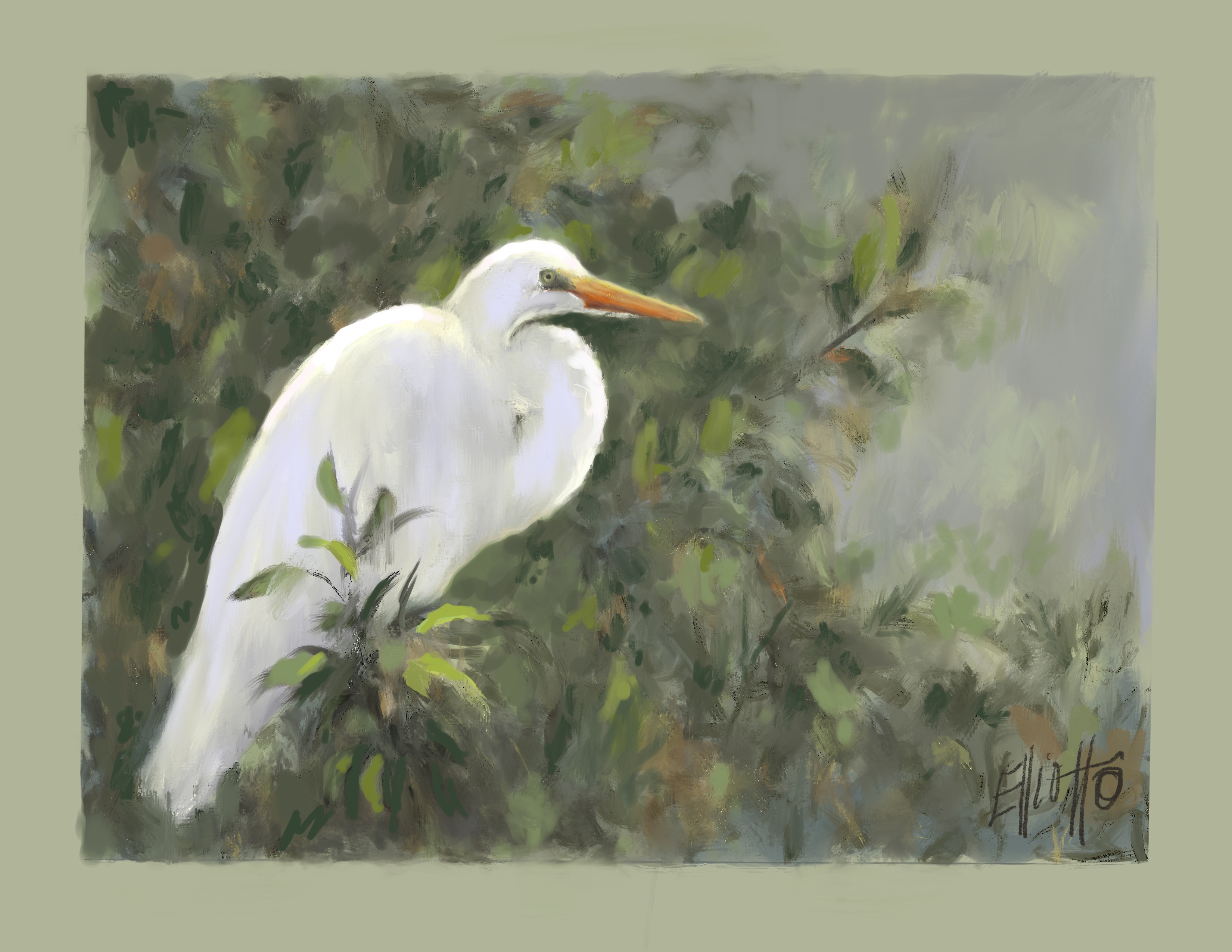 Morning Repose