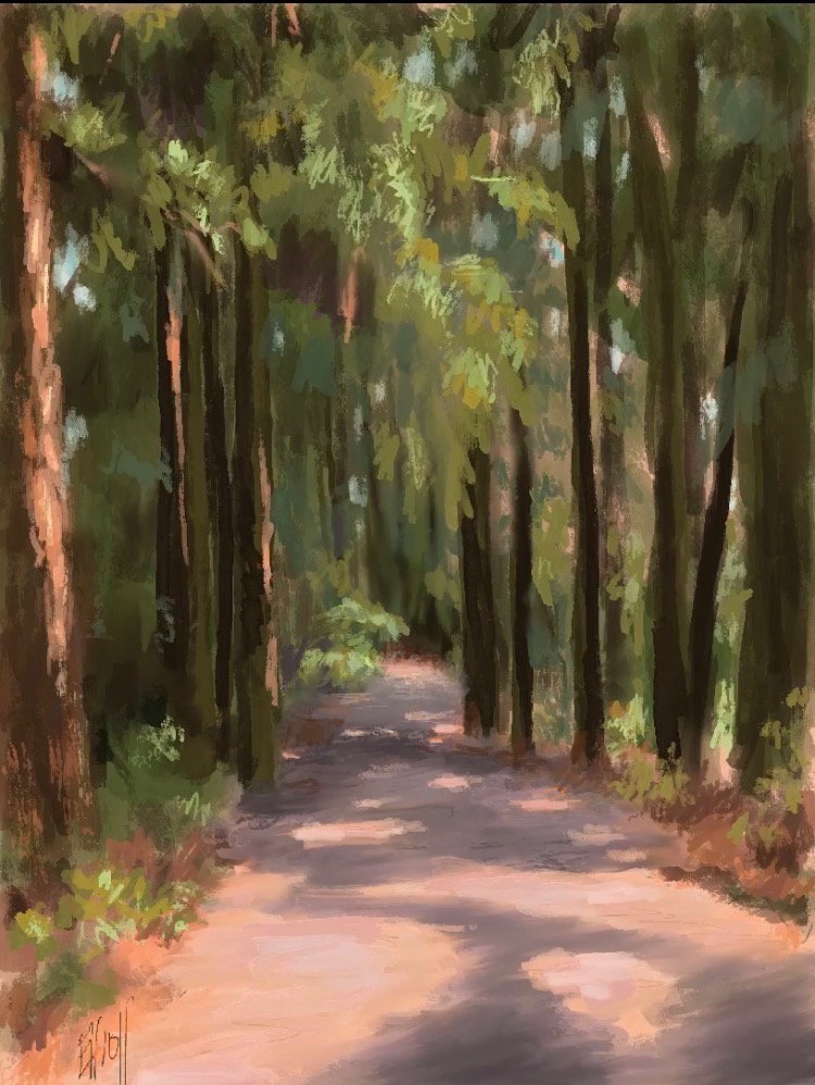 The Walk
